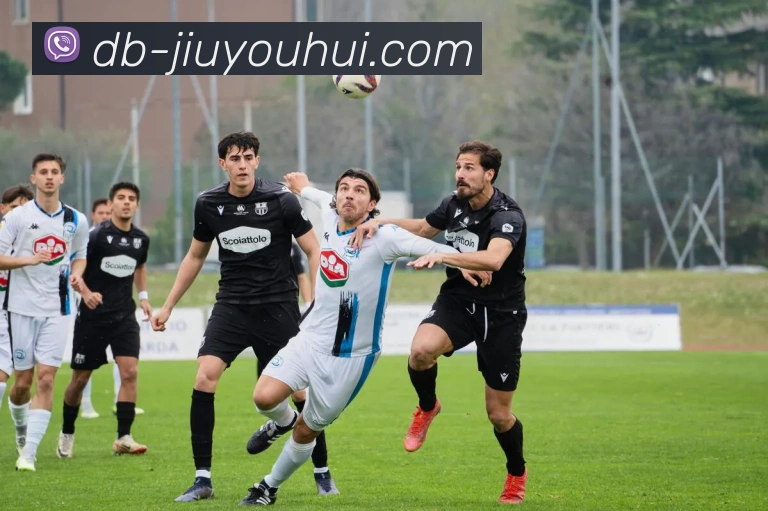 九游会官网平台生态图