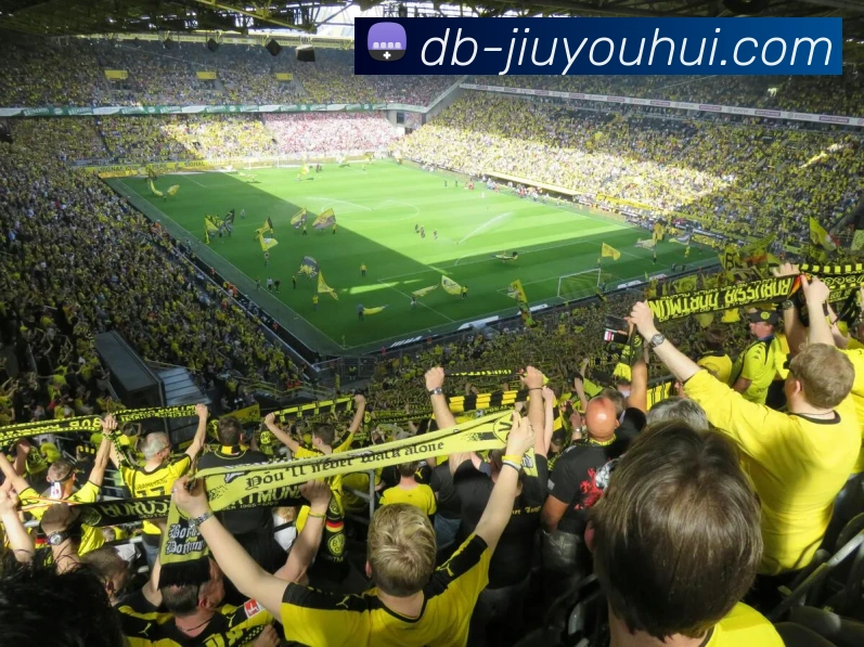 九游会官网全站App